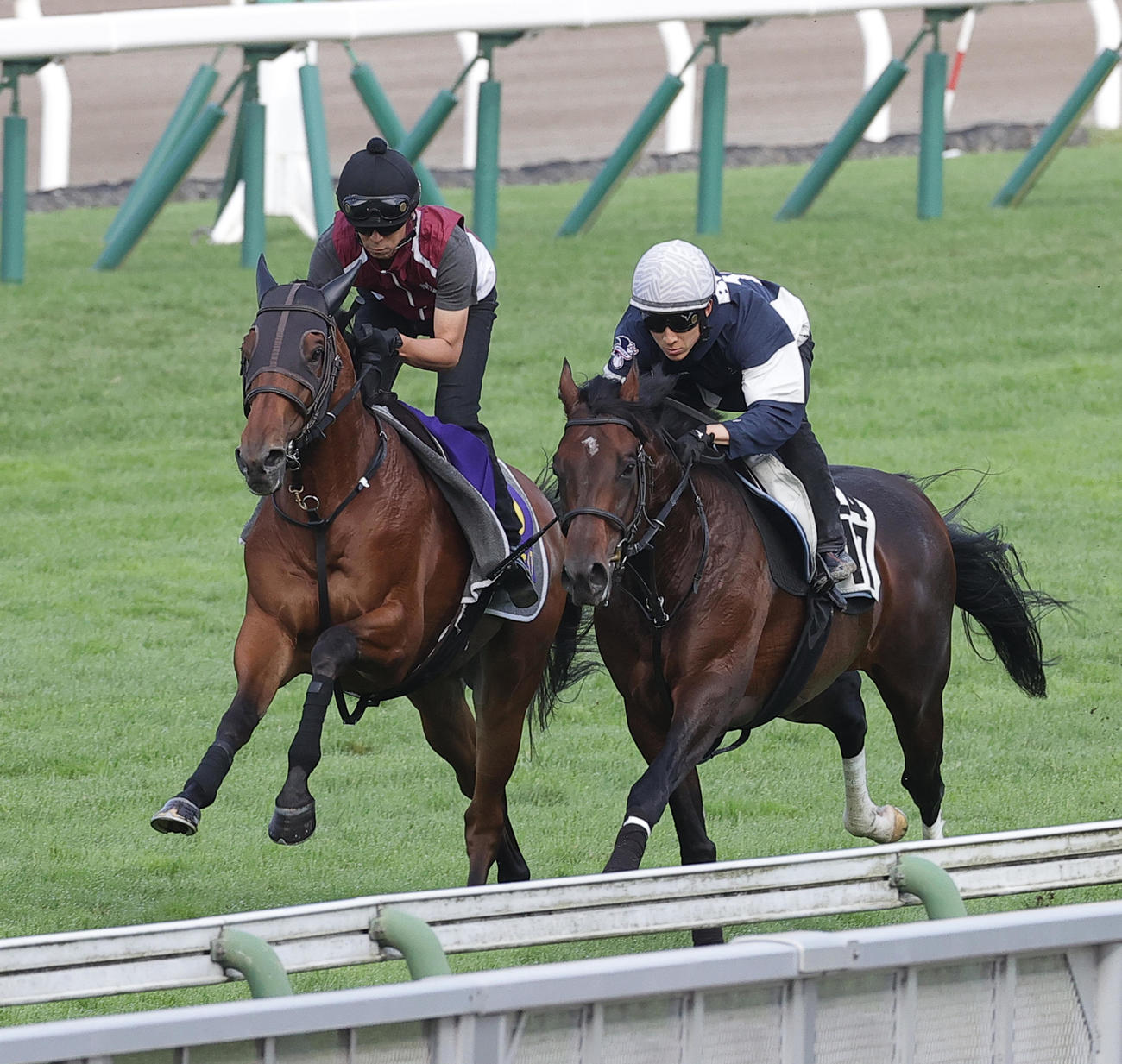 グランディア（左）は函館芝コースでレッドラグラスと併せて追い切り首差先着