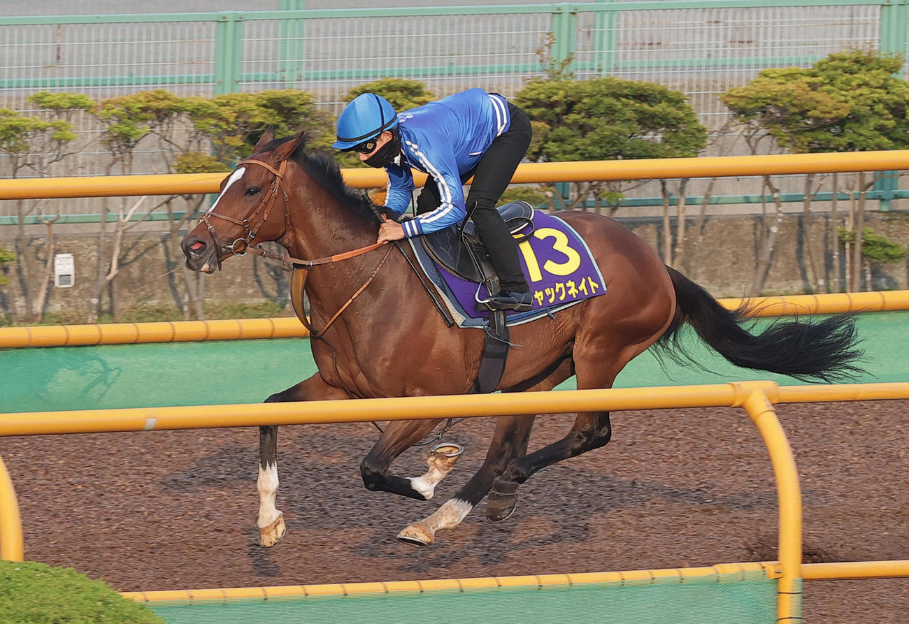 佐々木騎手を背に函館ウッドで追い切られたチャックネイト