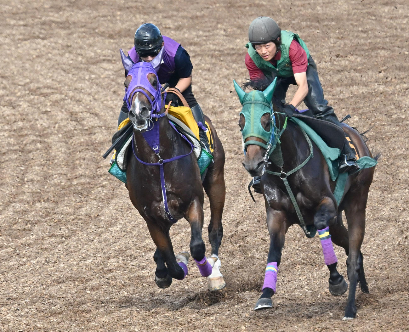 10日、併せ馬で追い切りを行うブーケファロス（左）