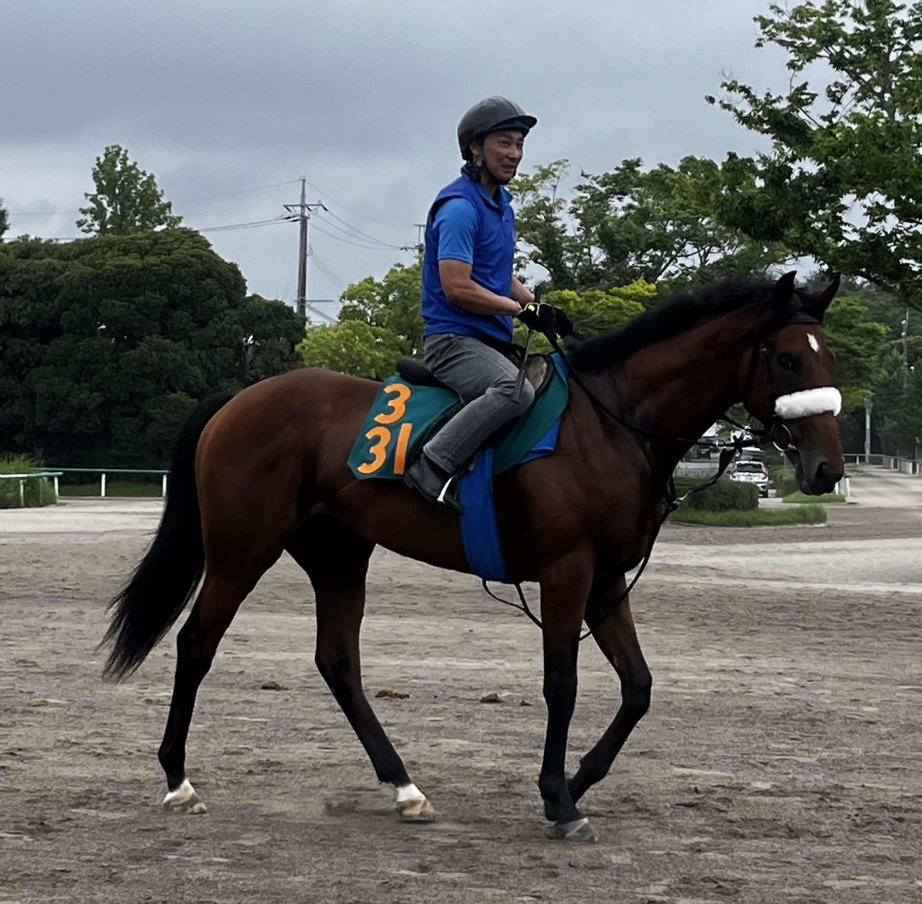 デビューに向け調整を進めるG1・9勝アーモンドアイの初子アロンズロッド