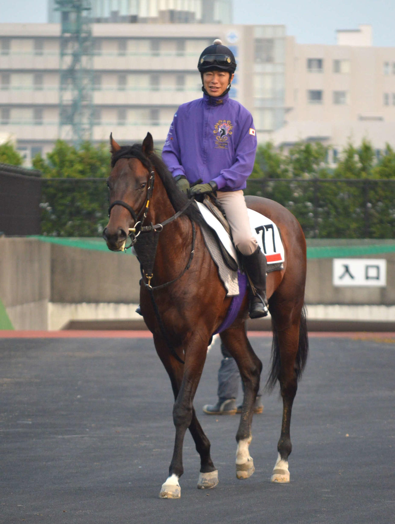 函館競馬場で初の馬場入りを終えたドウデュースの半弟エンダードラゴン