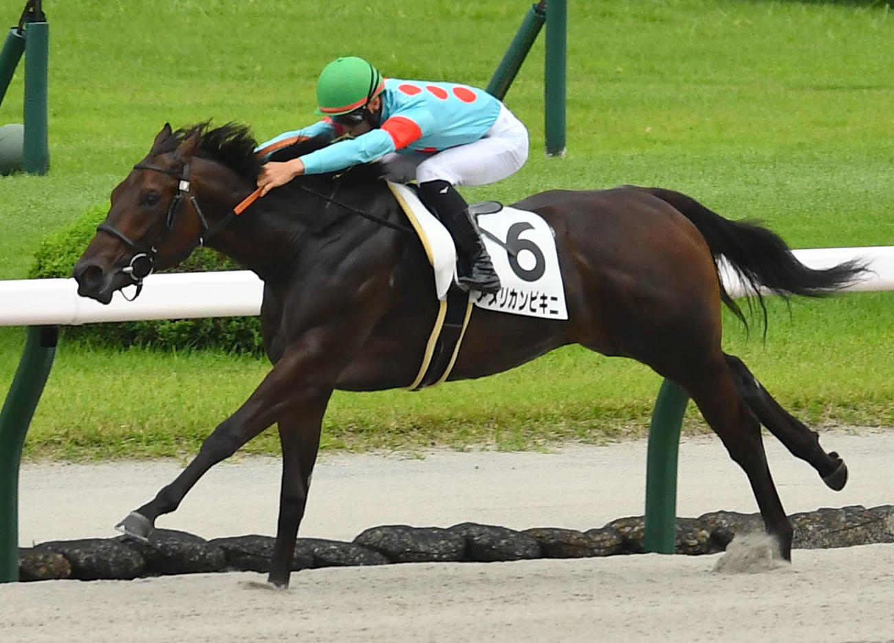 小倉1R・2歳未勝利　1着のアメリカンビキニと吉村誠之助騎手（撮影・岩下翔太）