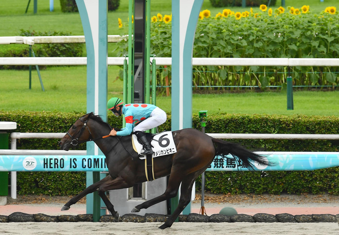 小倉1R・2歳未勝利　1着のアメリカンビキニと吉村誠之助騎手（撮影・岩下翔太）
