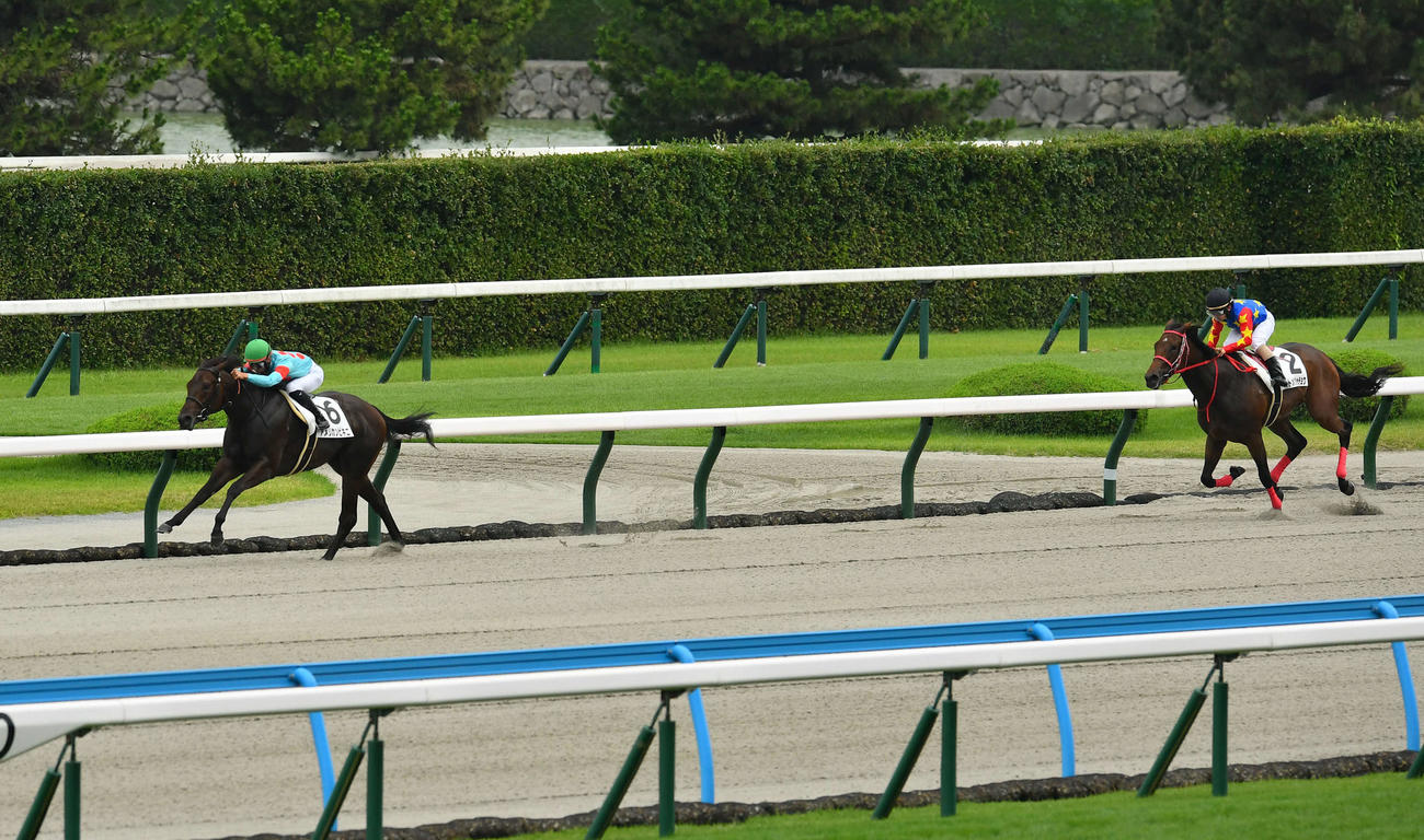 小倉1R・2歳未勝利　7馬身差をつけてコースレコードで勝利したアメリカンビキニと吉村誠之助騎手（撮影・岩下翔太）