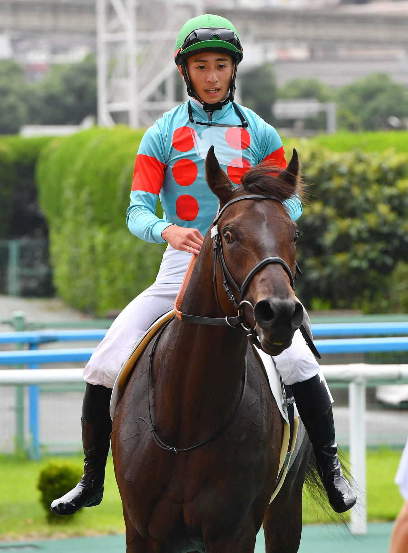 小倉1R・2歳未勝利　1着のアメリカンビキニと吉村誠之助騎手（撮影・岩下翔太）