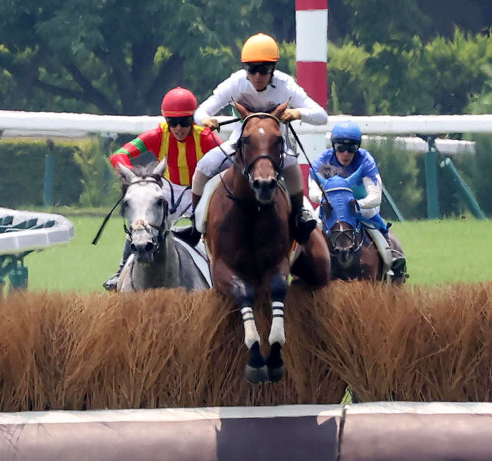 福島4R障害3歳上オープンを制したグレートバローズと高田騎手（撮影・丹羽敏通）