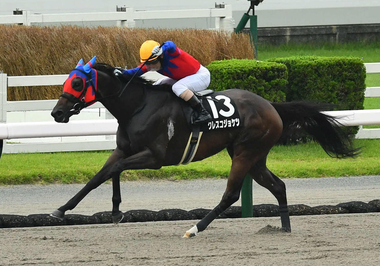 小倉11R・宮崎S 1着のクレスコジョケツと藤懸騎手（撮影・岩下翔太）