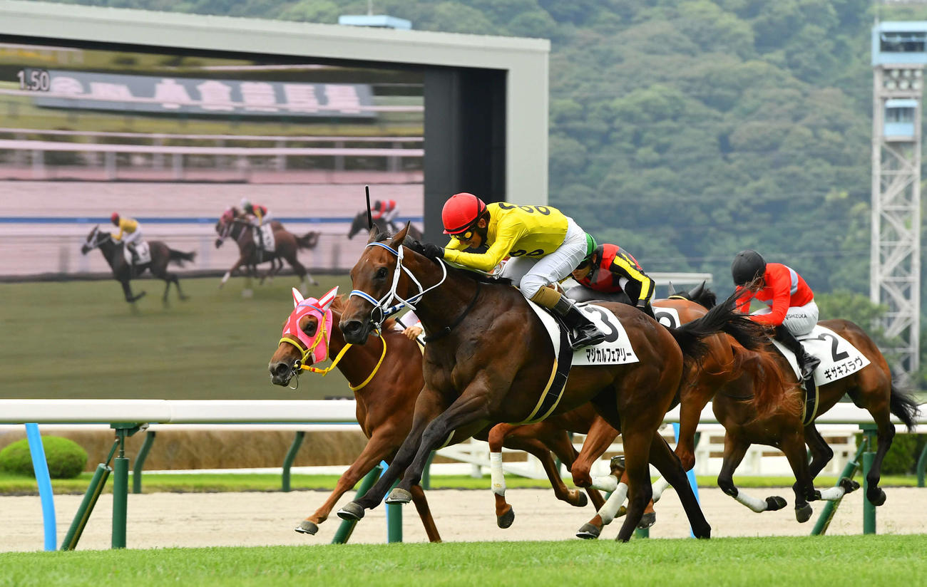 小倉5R、新馬戦1着のマジカルフェアリーと和田竜騎手（撮影・岩下翔太）