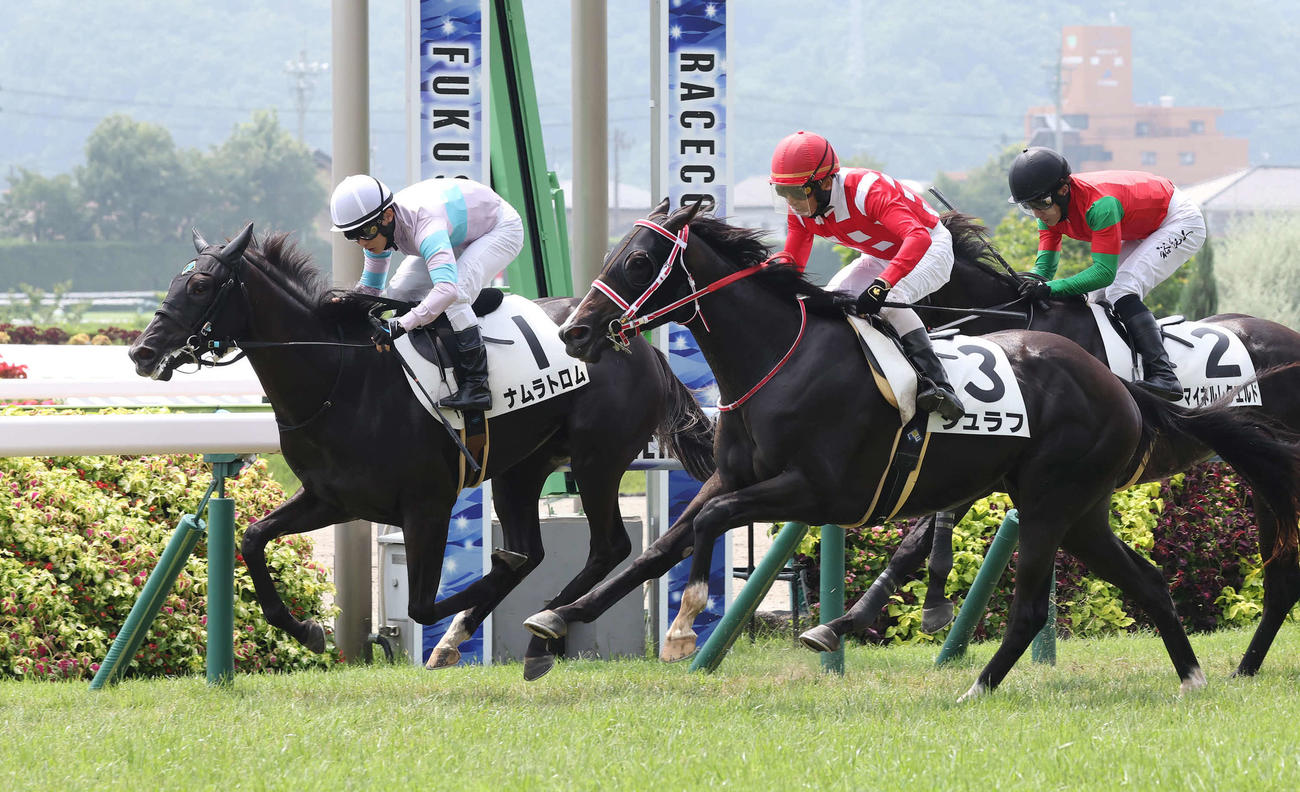 福島1R、2歳未勝利戦を制したナムラトロムと丸田騎手（左）。中央は2着シュラフ（撮影・丹羽敏通）