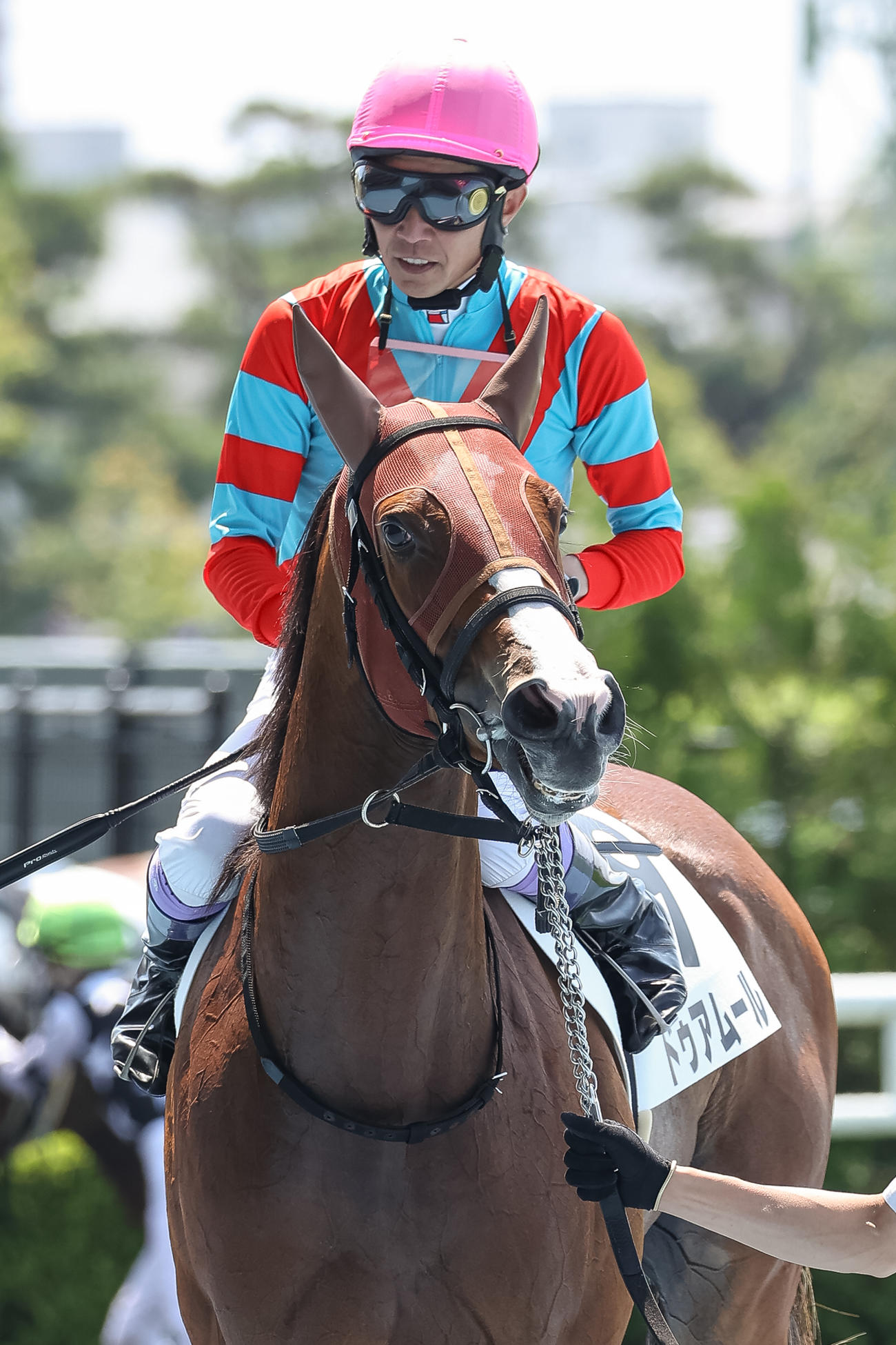 2歳未勝利を勝ち上がったドゥアムールと武豊騎手（撮影・村野早祐）