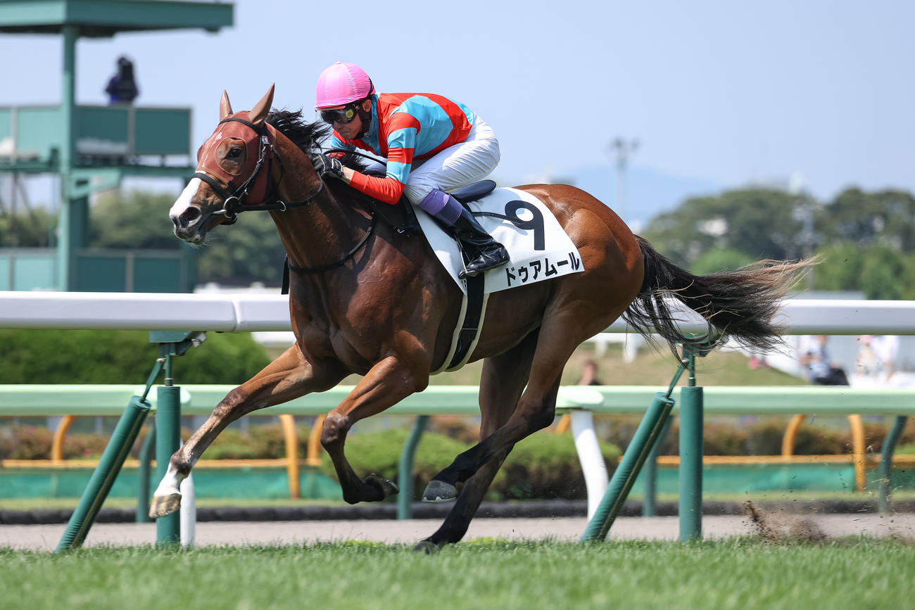 2歳未勝利を勝ち上がったドゥアムールと武豊騎手（撮影・村野早祐）