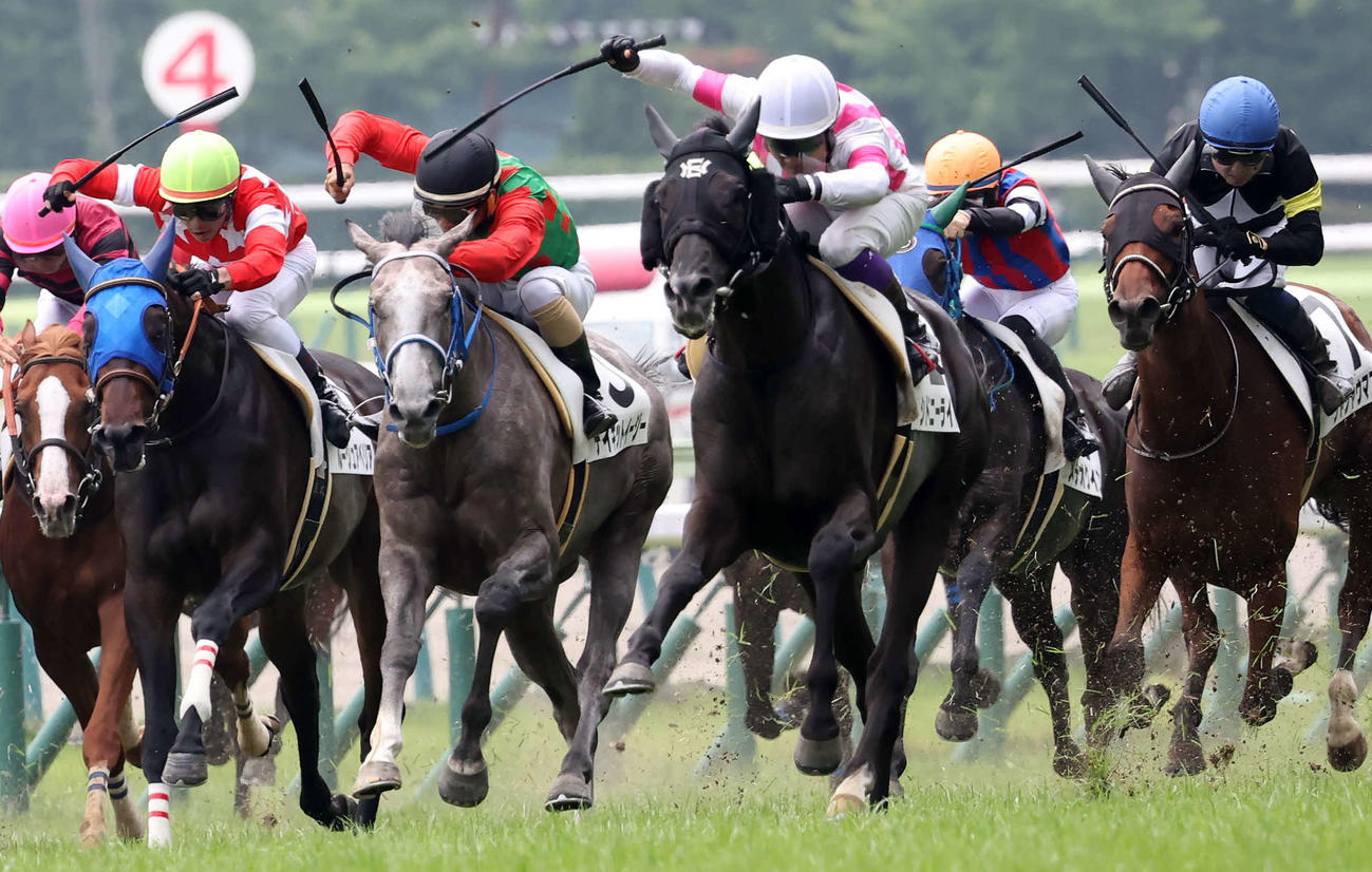 福島3R・3歳未勝利を制したシドニーライトと江田照騎手（前列右から2頭目）（撮影・丹羽敏通）