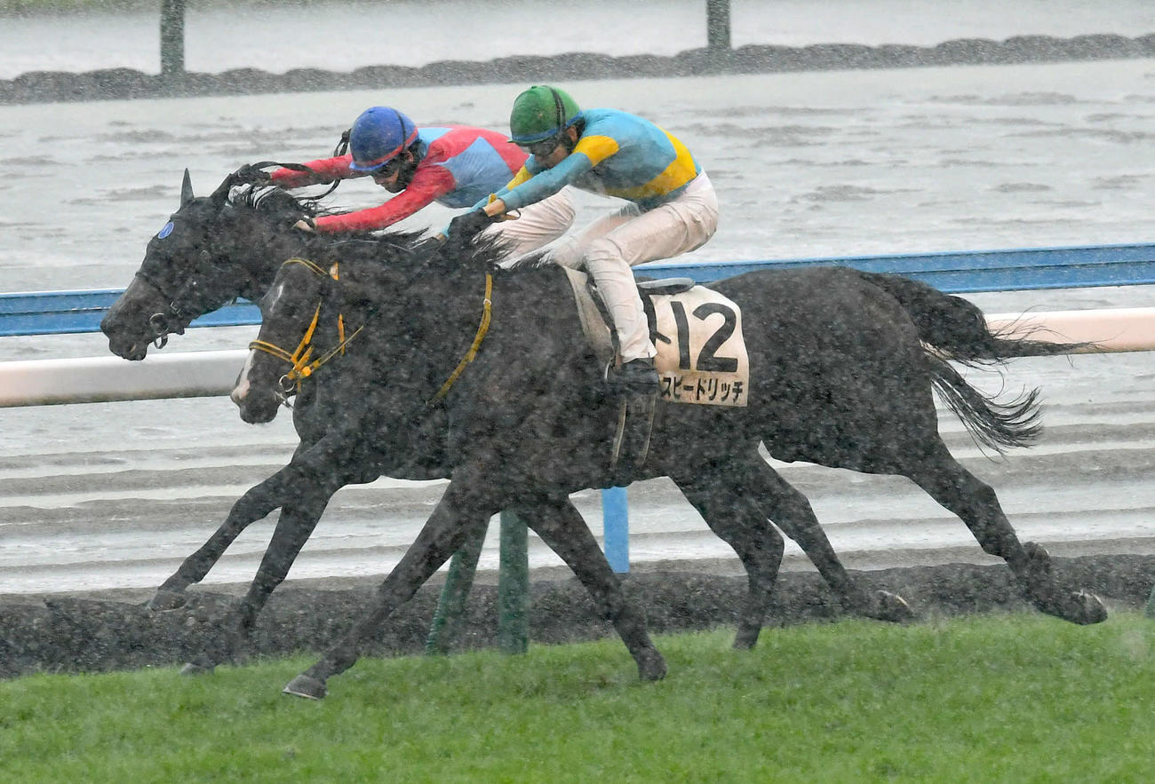 小倉4R・3歳未勝利　スピードリッチ（右）との接戦を制したキュクヌスと松山弘平騎手（撮影・岩下翔太）