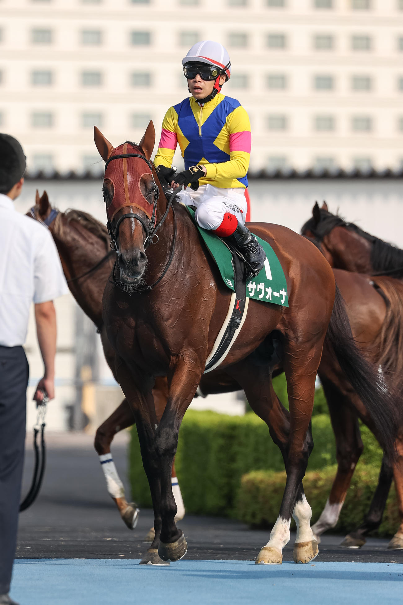 4着に敗れたサヴォーナと池添騎手（撮影・村野早祐）