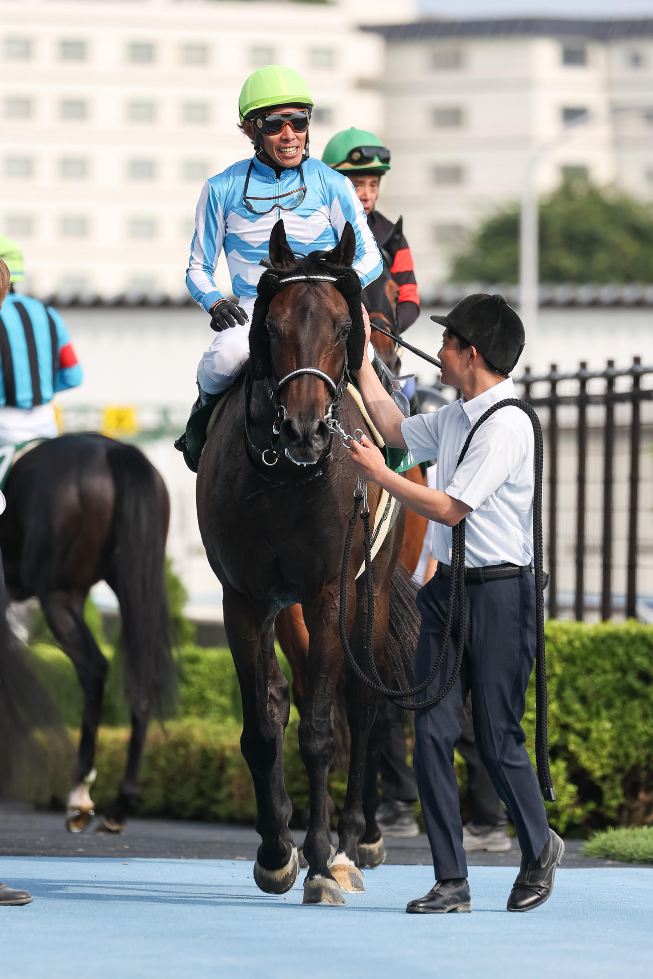 3着に敗れたアウスヴァールと古川吉騎手（撮影・村野早祐）
