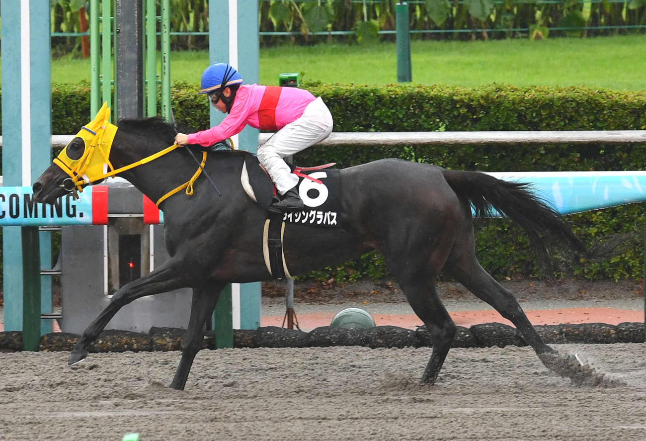 西部日刊スポーツ杯を制したライジングラパスと松若風馬騎手（撮影・岩下翔太）
