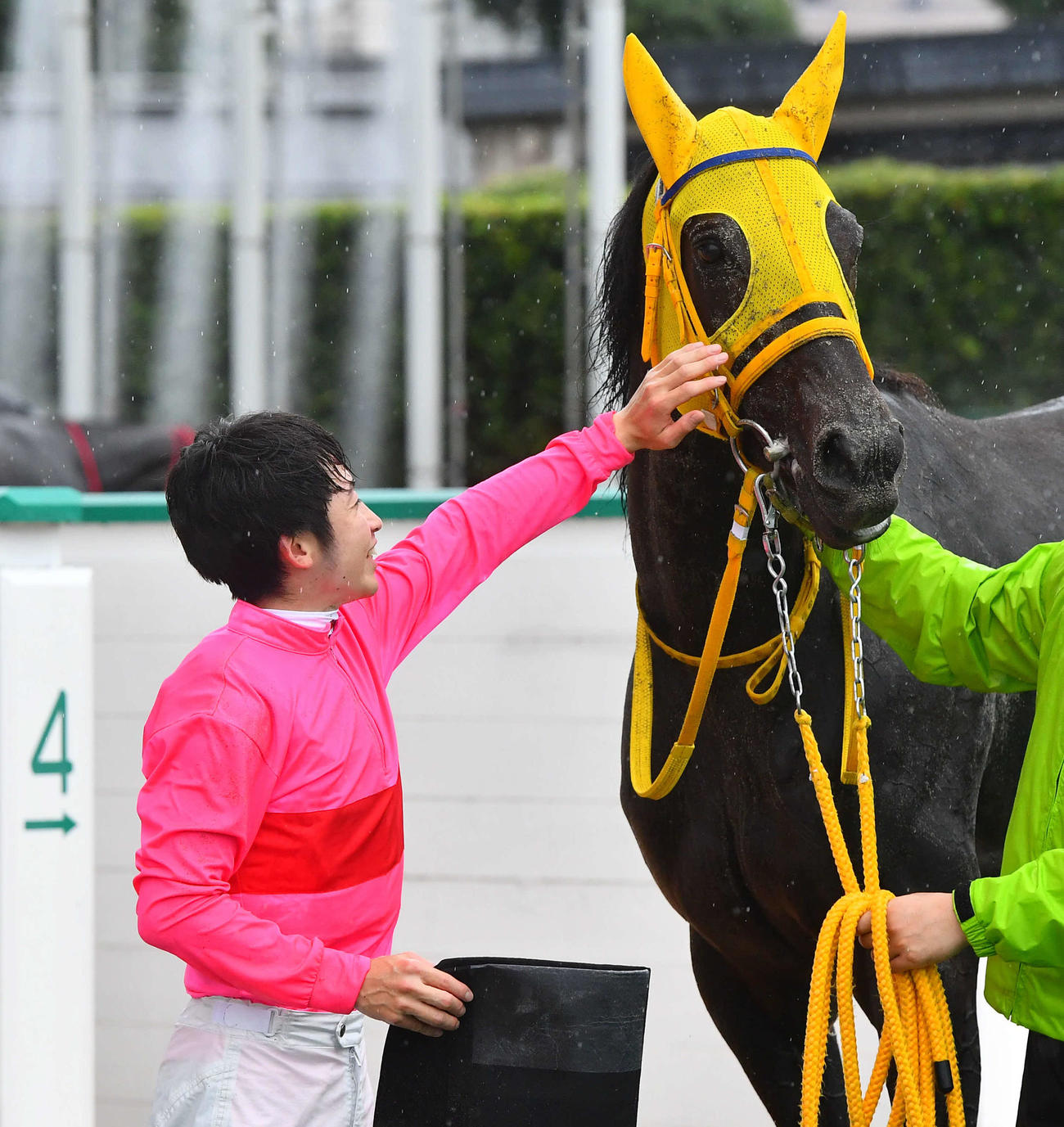 西部日刊スポーツ杯を制しライジングラパスの顔をなでてねぎらう松若風馬騎手（撮影・岩下翔太）