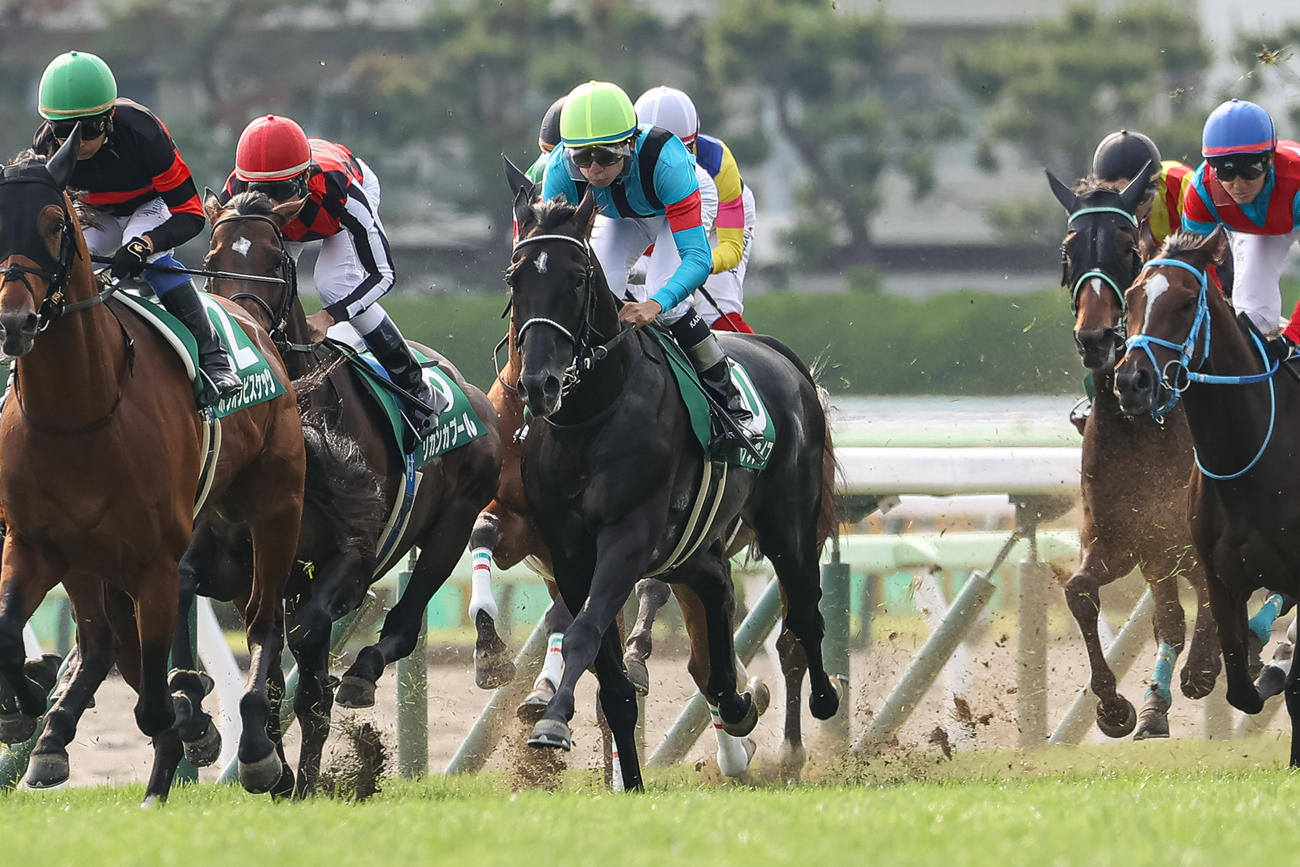 函館記念10着に敗れたトップナイフと横山和騎手（撮影・村野早祐）
