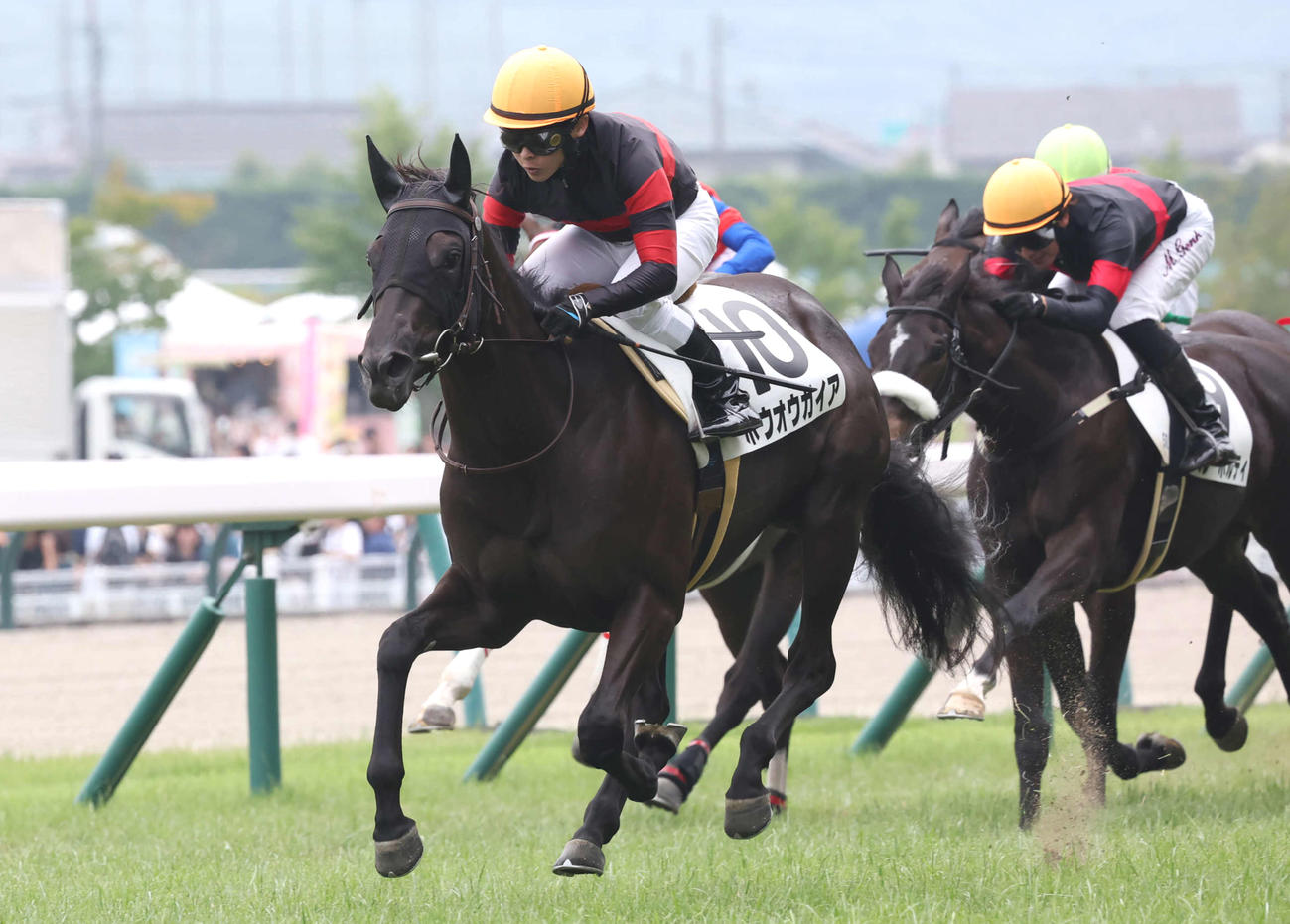 2歳新馬戦を制したホウオウガイアと丸田騎手（撮影・丹羽敏通）