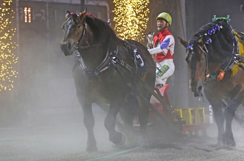 旭川記念を制したクリスタルコルドと西謙一騎手（写真提供・ばんえい十勝）