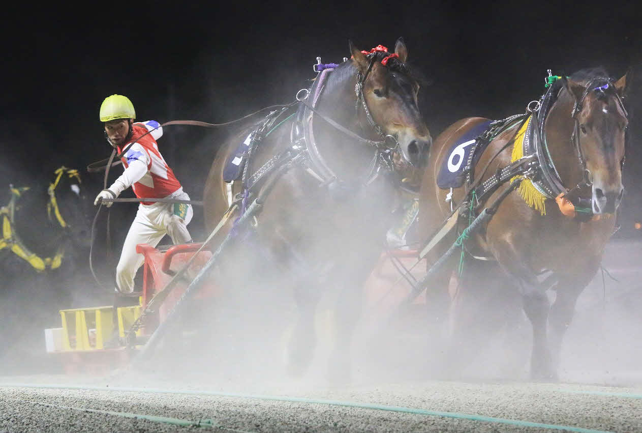 旭川記念を制したクリスタルコルドと西謙一騎手。右は2着のコウテイ（写真提供・ばんえい十勝）