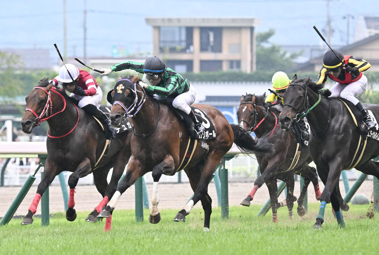 福島テレビOPを制したカリボールと杉原騎手（中央）。左は3着デュガ、右は2着エターナルタイム