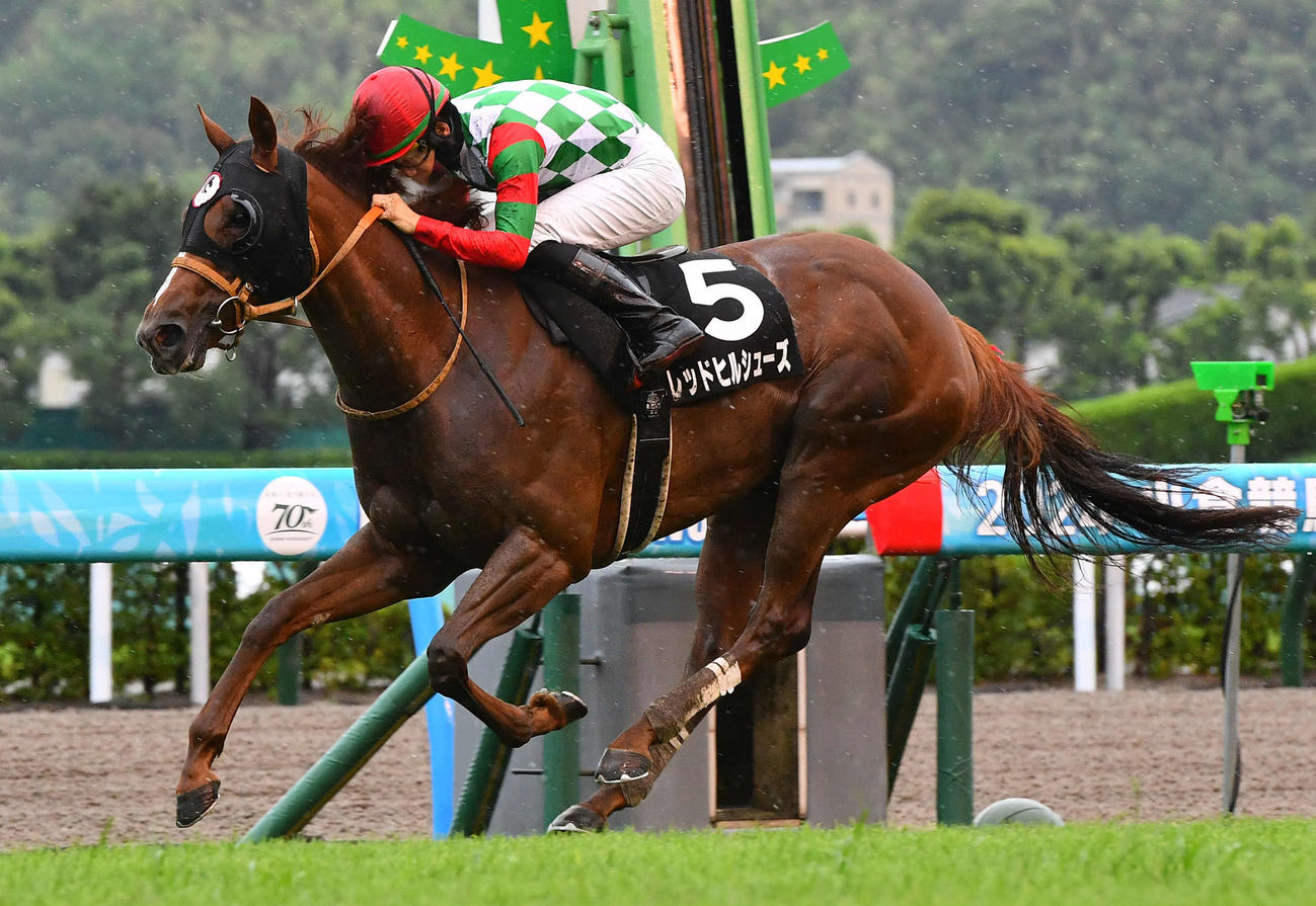 小倉11R、佐世保Sを制したレッドヒルシューズと松山騎手（撮影・岩下翔太）