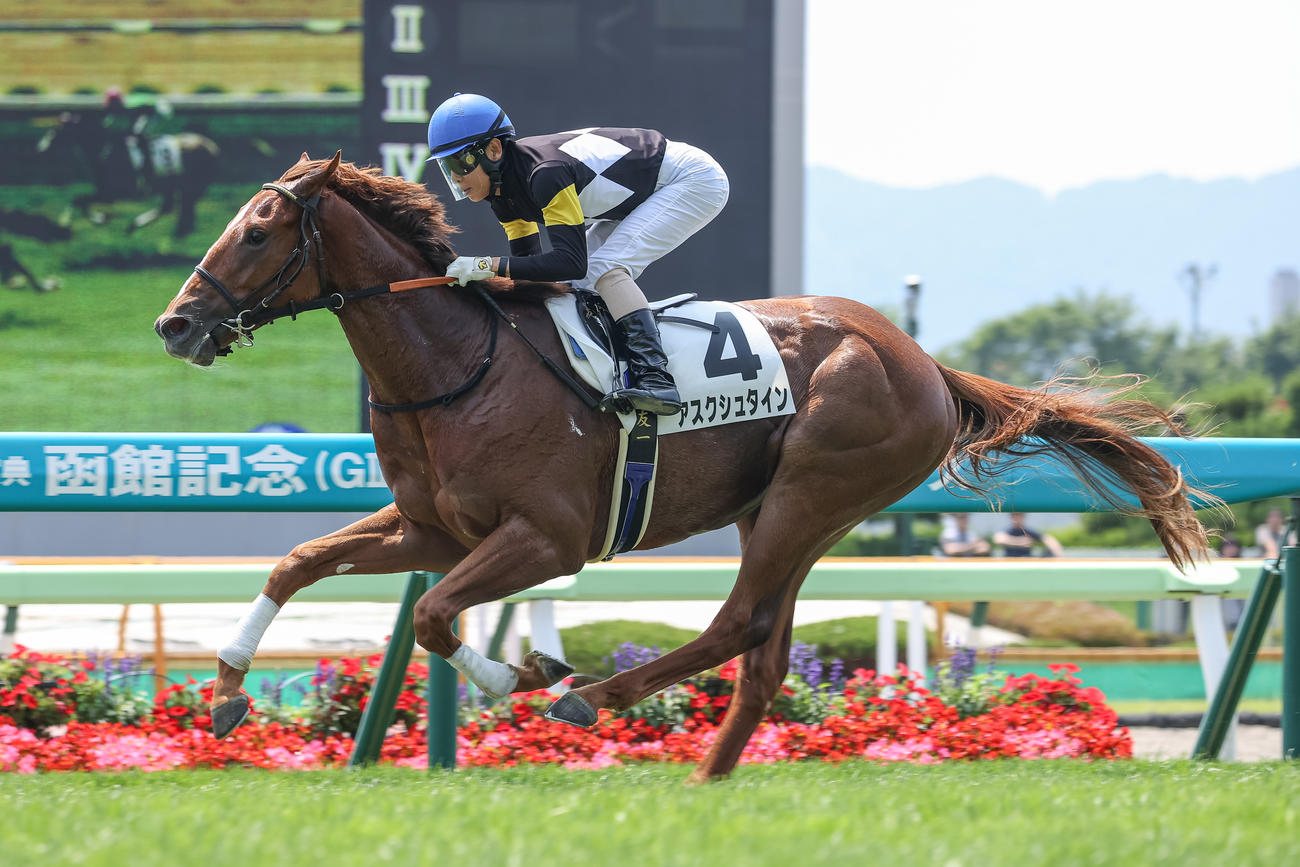 函館5R、新馬戦を制したアスクシュタインと北村友騎手（撮影・村野早祐）