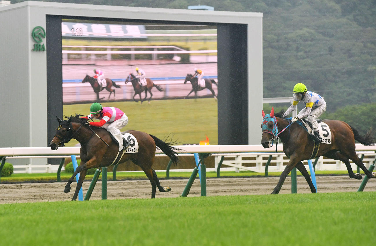 小倉6R、新馬戦を制したラブアイミーと松山騎手。右は2着のオニマル（撮影・岩下翔太）