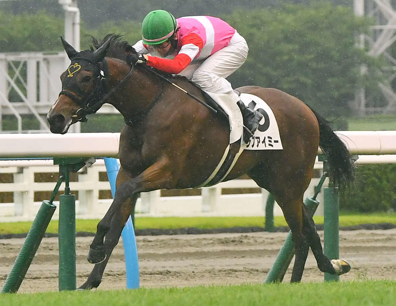 小倉6R新馬戦1着のラブアイミーと松山騎手（撮影・岩下翔太）