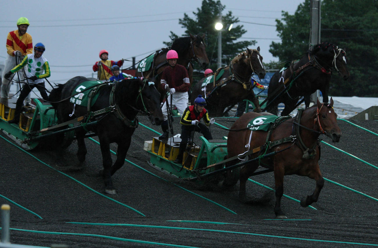 ばんえい競馬JRAジョッキーDAY　第2障害を先頭で駆け下りるルメール騎手（2016年8月撮影）