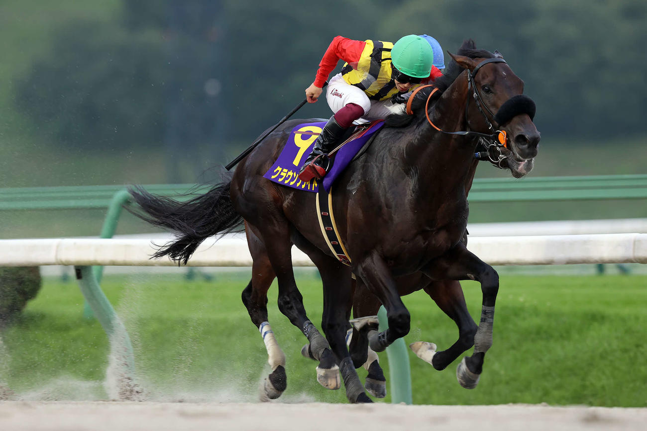 マーキュリーCを制したクラウンプライド（写真提供・岩手県競馬組合）