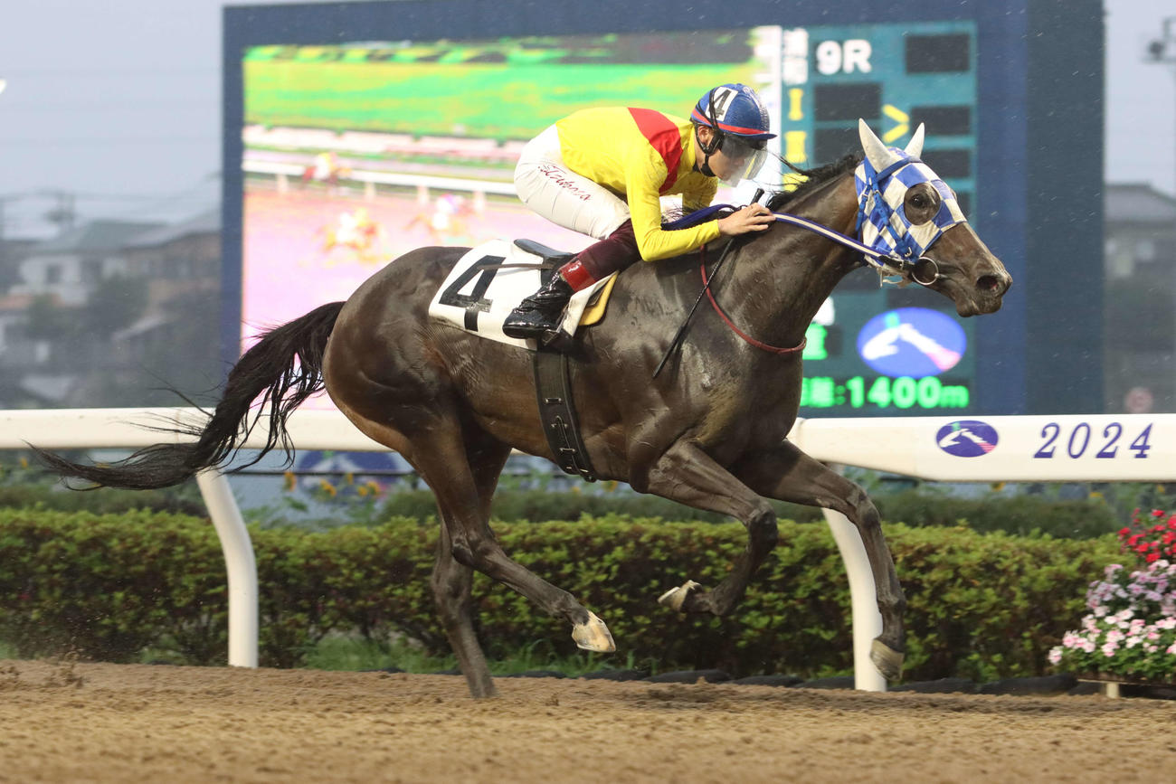 4コーナーで先頭に立ったアムレートが勝ち、騎乗した笹川翼騎手は地方競馬通算2000勝を達成