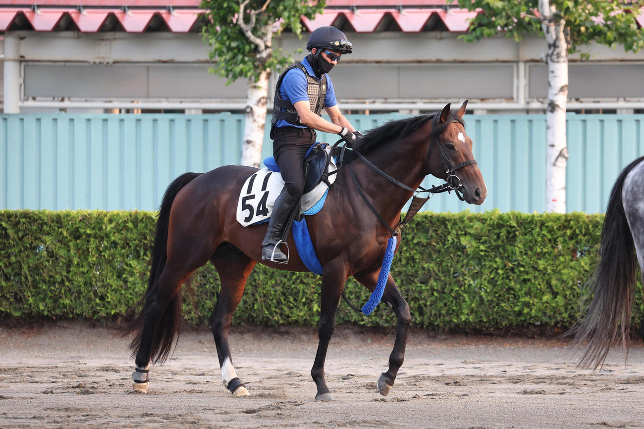 札幌競馬場で調整を積むゾンニッヒ