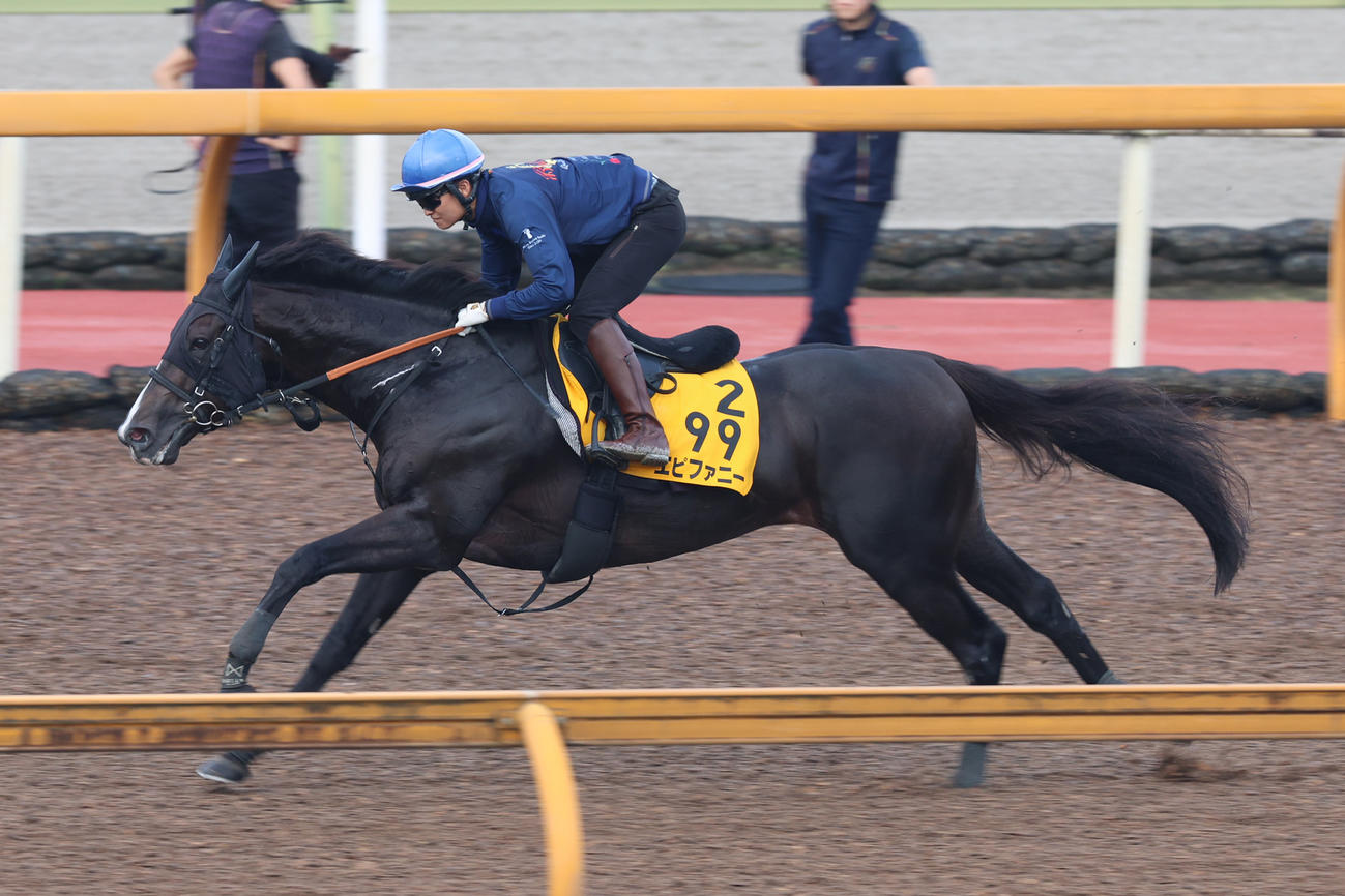 栗東Cウッドで追い切られたエピファニー