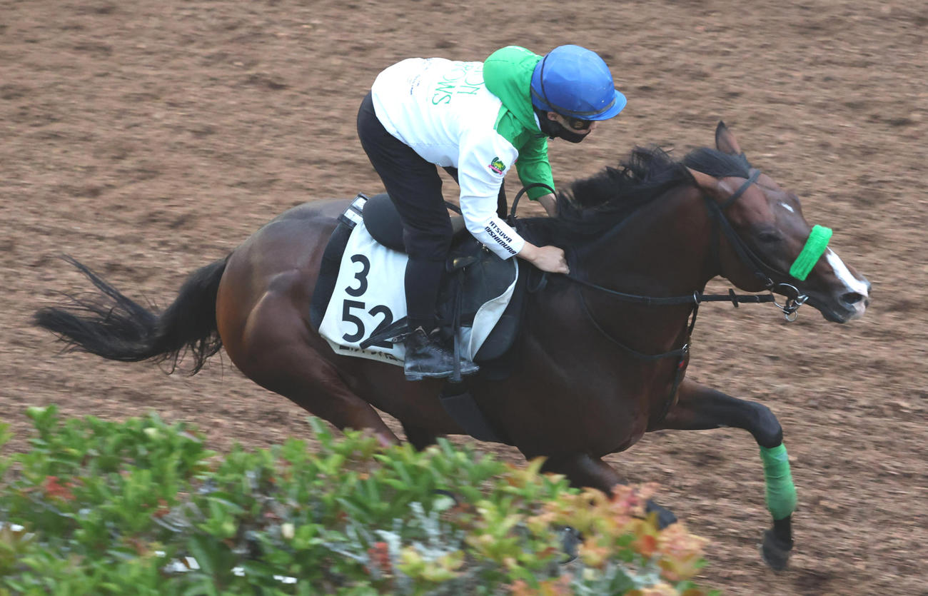 坂路で追い切るエルトンバローズ