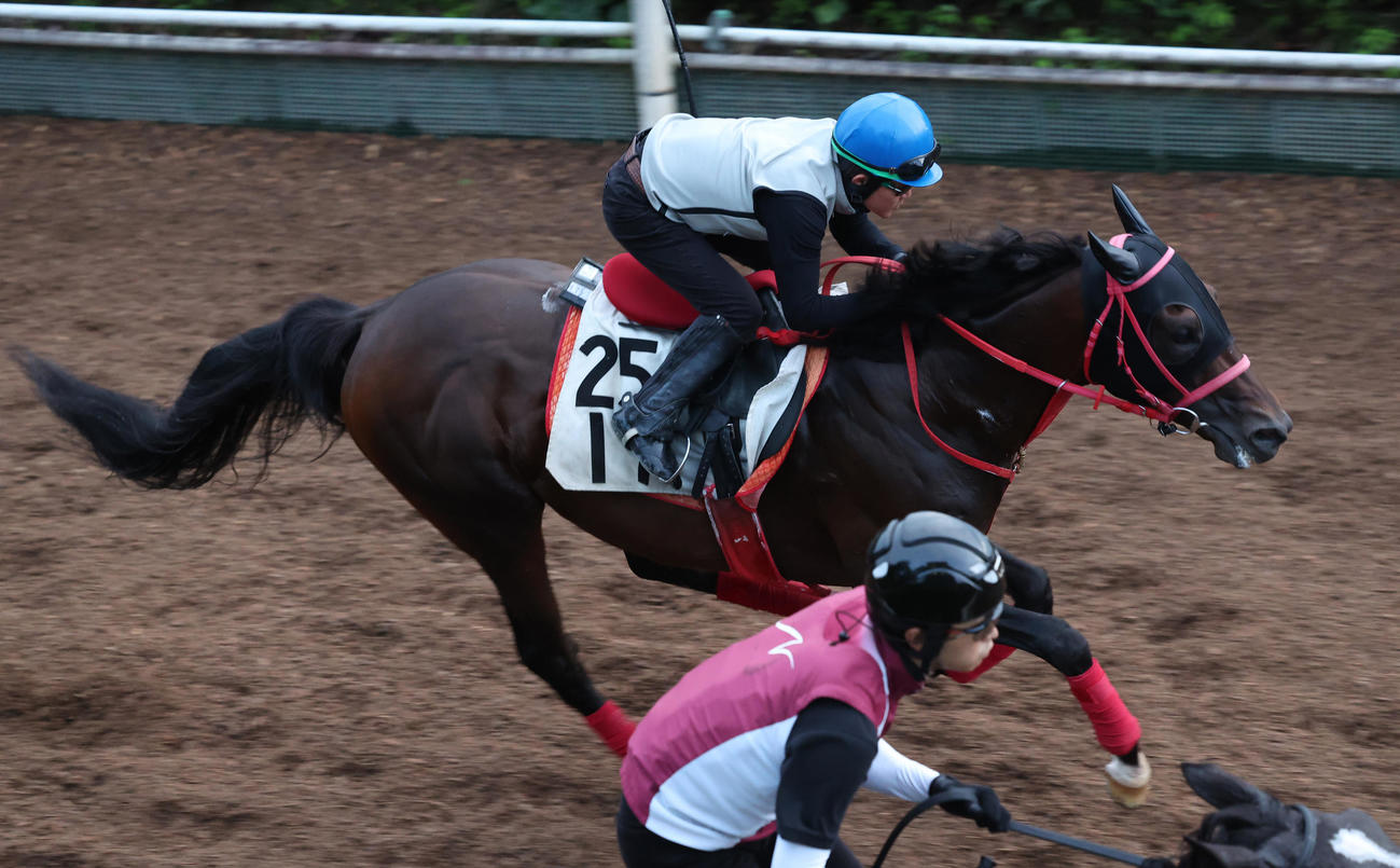 小牧太騎手を背に坂路で追い切るワールドリバイバル