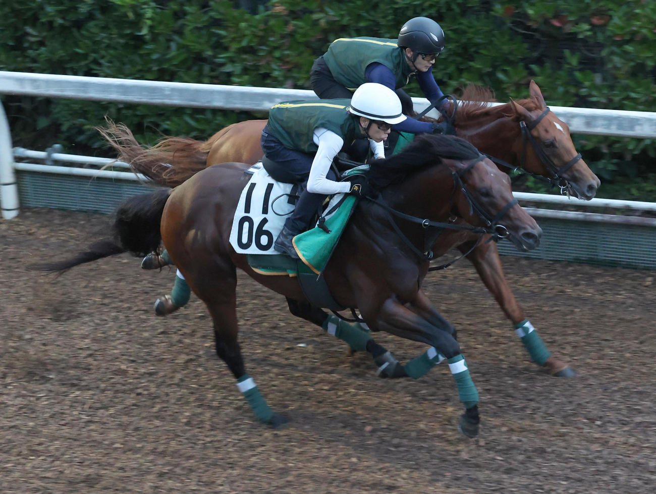 坂路を併せ馬で追い切るセオ（手前）