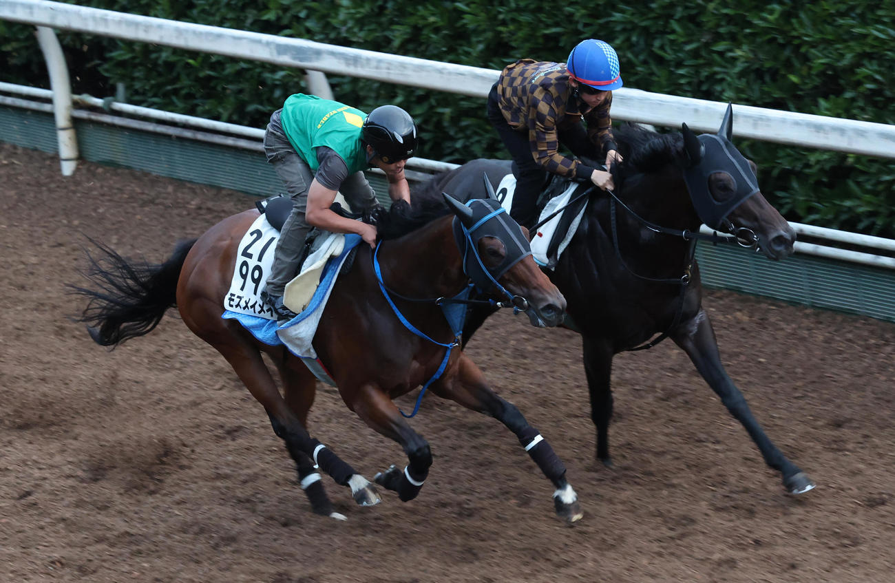 坂路を併せ馬で追い切るモズメイメイ（左）