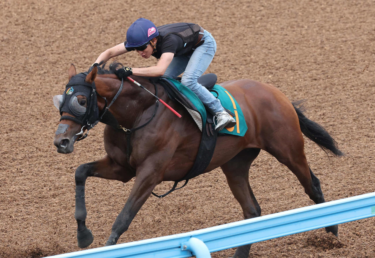 ヴィジョンメーカーは丸山騎手を背にデビュー戦に向けて美浦ウッドで追い切られた（撮影・丹羽敏通）