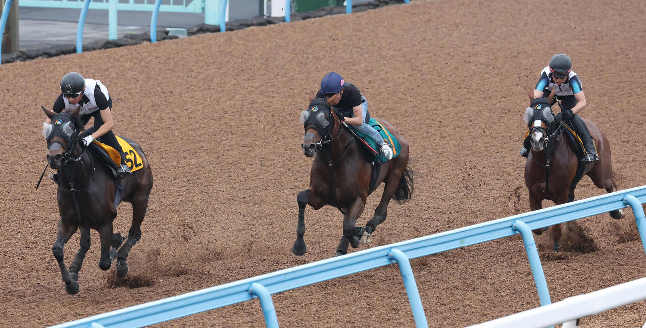 ヴィジョンメーカー（中央）は丸山騎手を背にデビュー戦に向けて美浦ウッドで追い切られた（撮影・丹羽敏通）