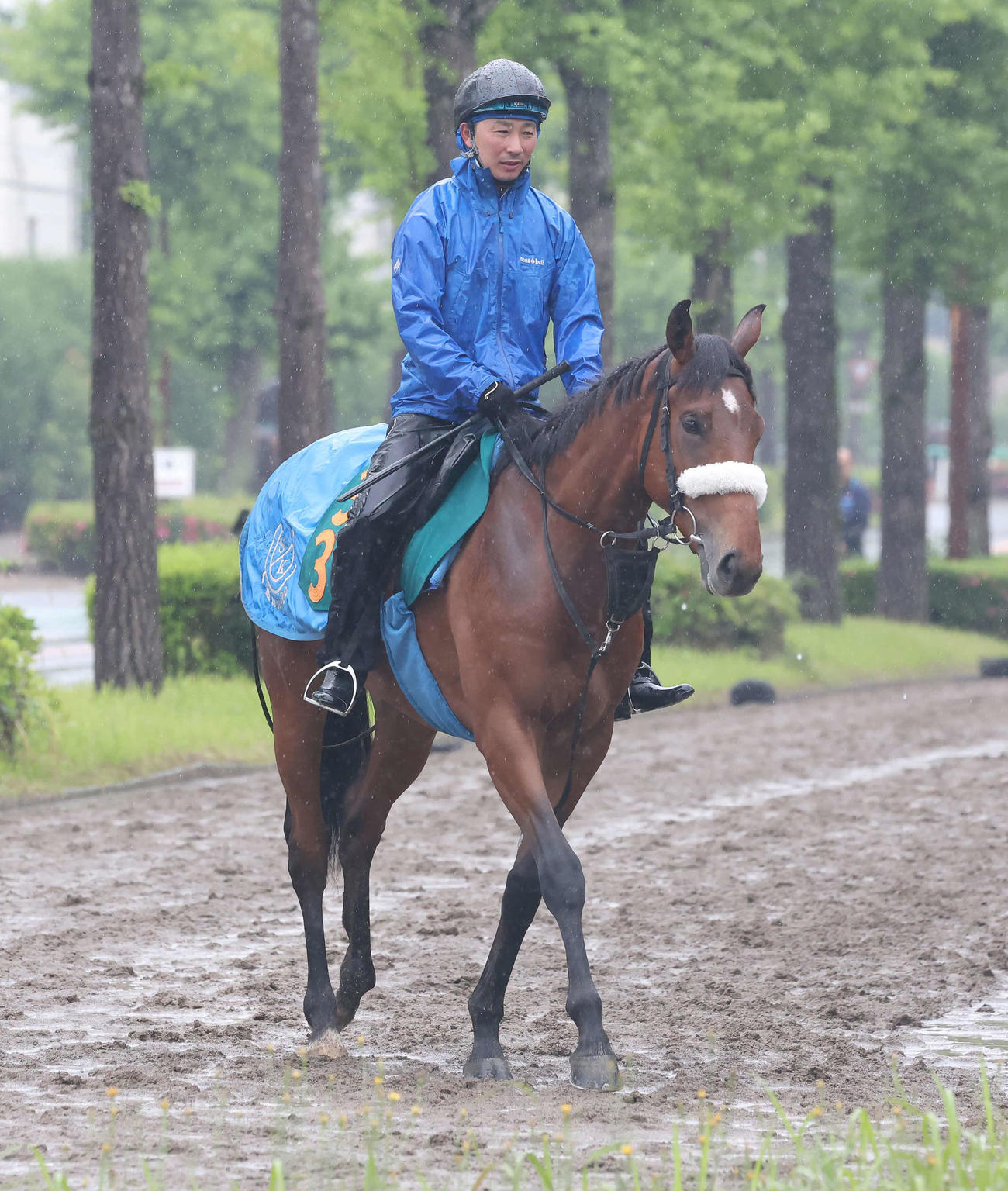 乗り運動するアロンズロッド（2024年5月16日撮影）