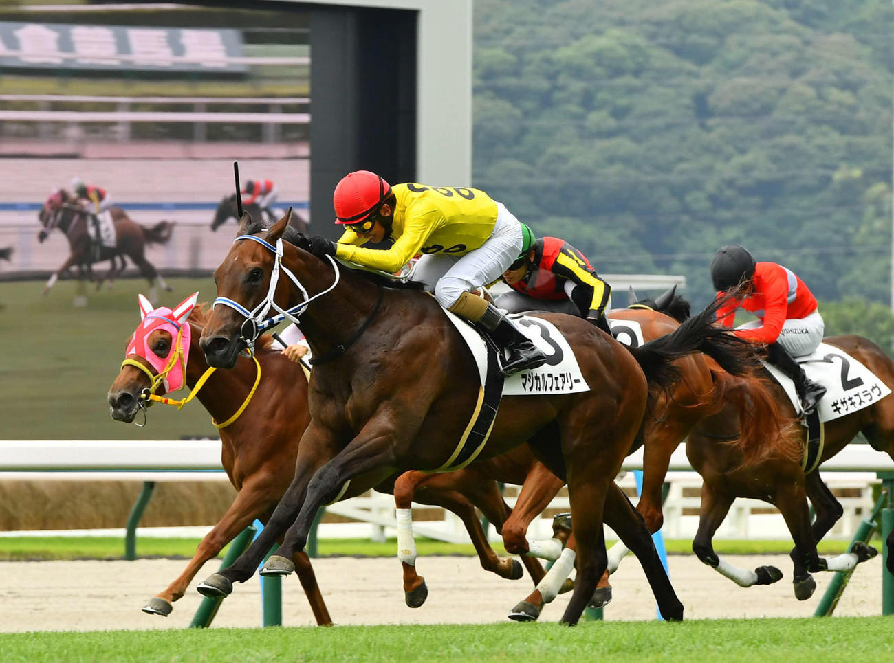 13日小倉5Rの新馬戦を制したマジカルフェアリーと和田竜二騎手