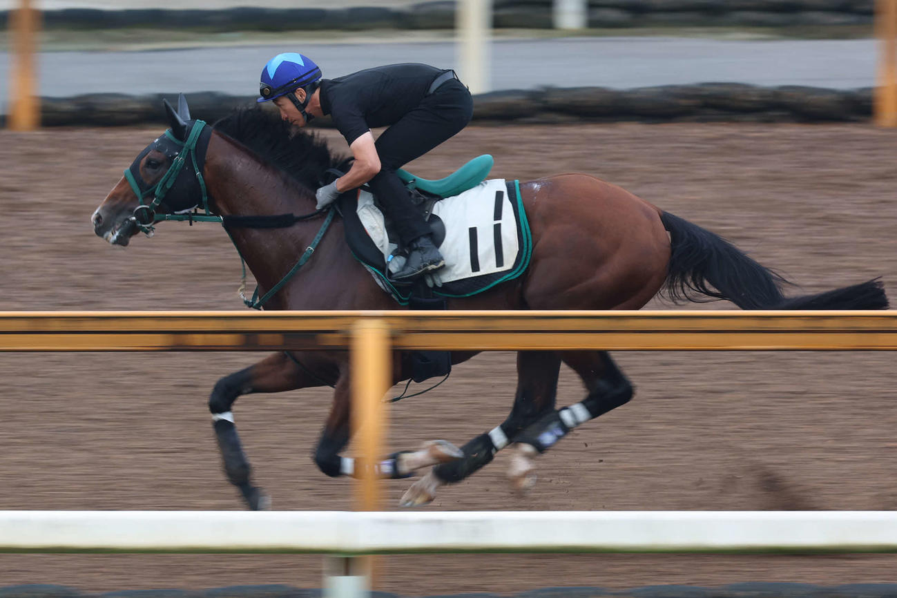 横山典弘騎手が騎乗し、速い時計をマークしたアルナシーム