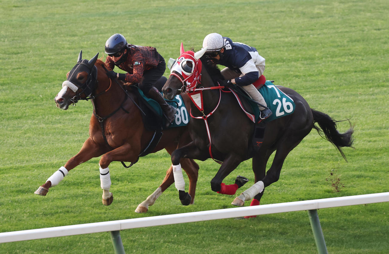 藤岡佑介騎手を背に、札幌芝コースで併せ馬で追い切られるキングスコール（右）