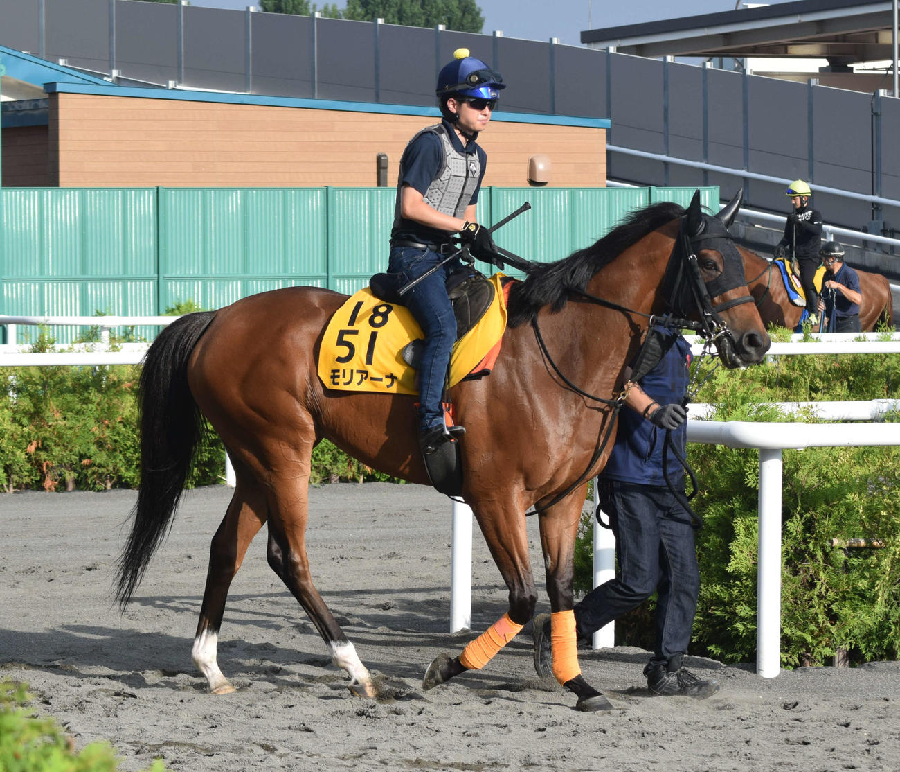 クイーンSの1週前追い切りへ向かうモリアーナ