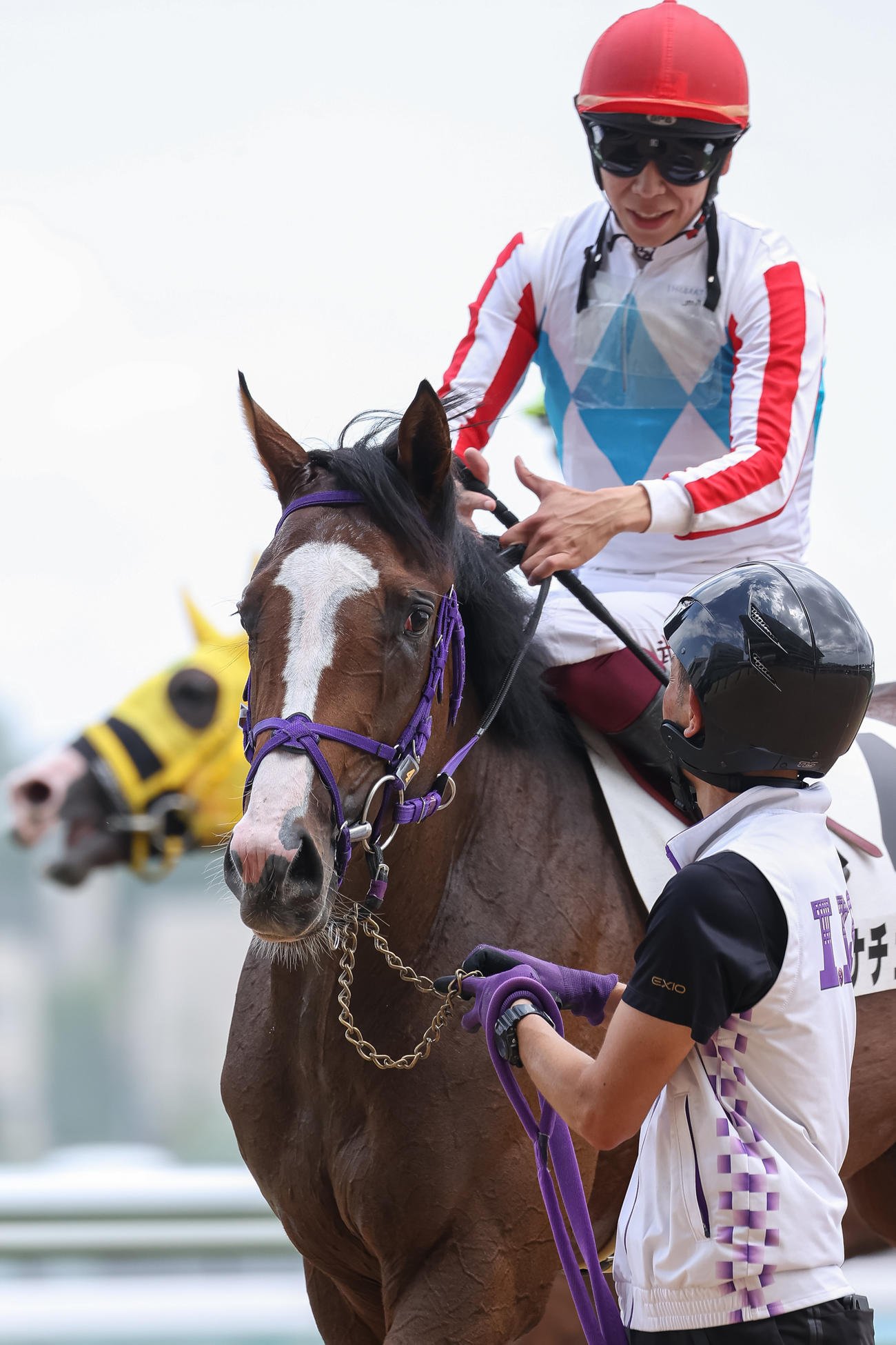 デビュー戦を制したナチュラルライズと横山武騎手（撮影・村野早祐）