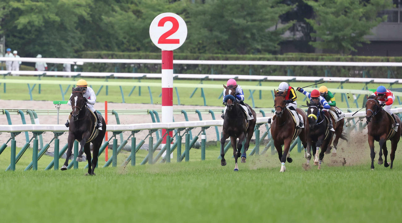 福島5R、2歳新馬戦を大差で逃げ切ったピコチャンブラック（左）（撮影・丹羽敏通）