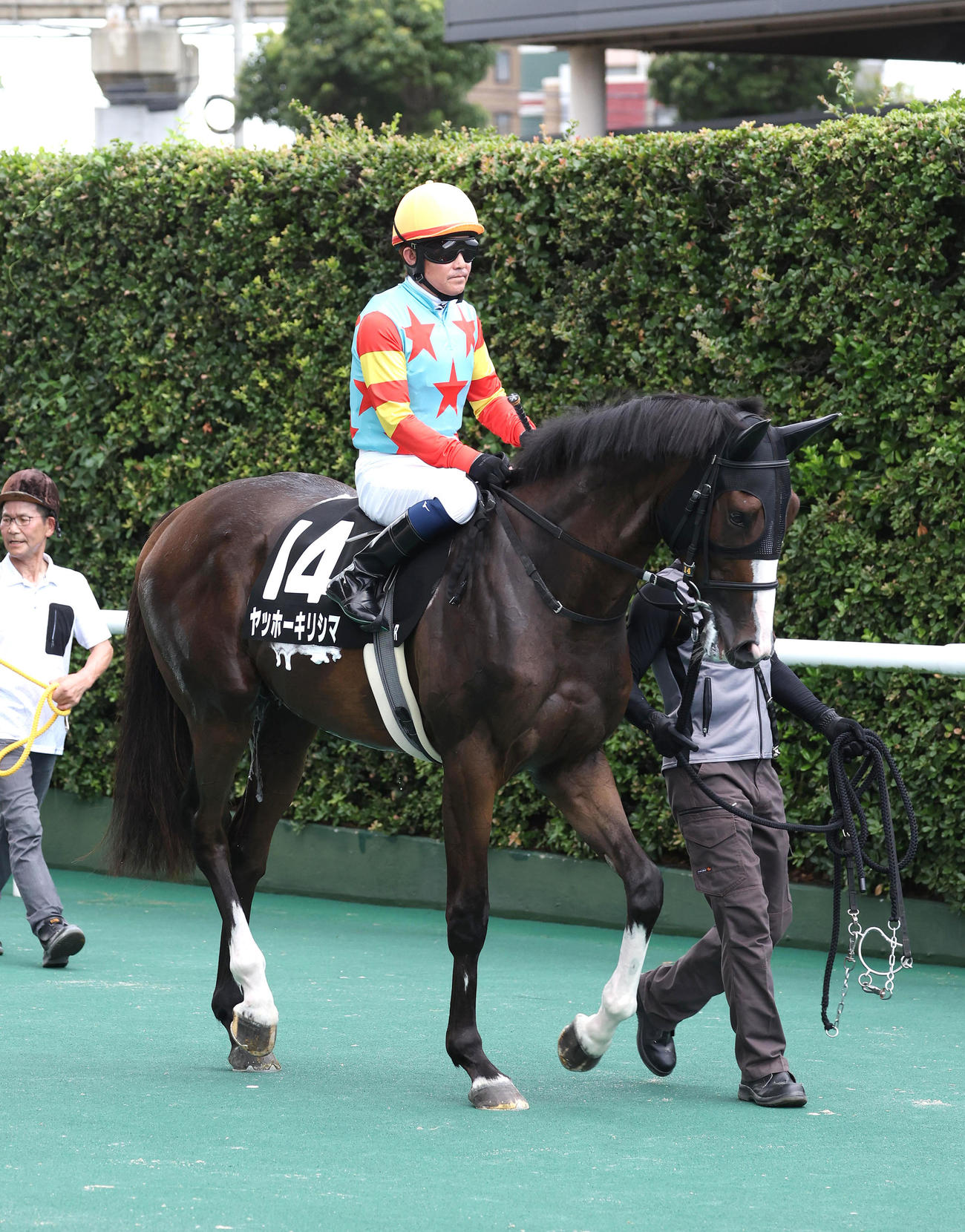 小倉9R、ヤッホーキリシマに騎乗し馬場入りする小牧太騎手（撮影・白石智彦）