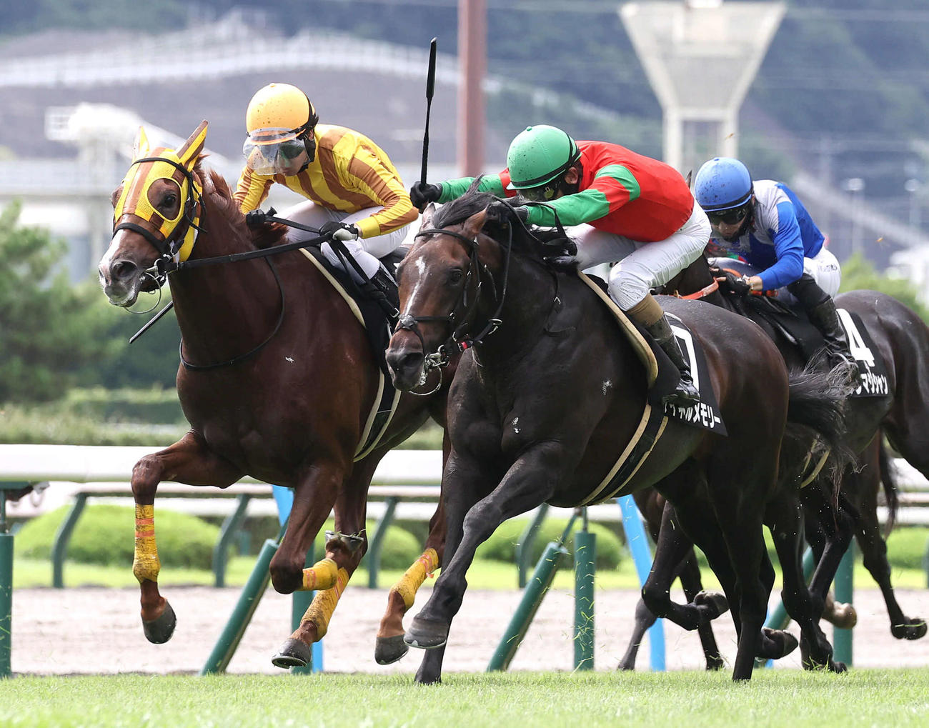 シェイクユアハート（左）を差し切ってテレQ杯を制したマイネルメモリー（撮影・白石智彦）